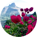 Rutuja Visale profile picture